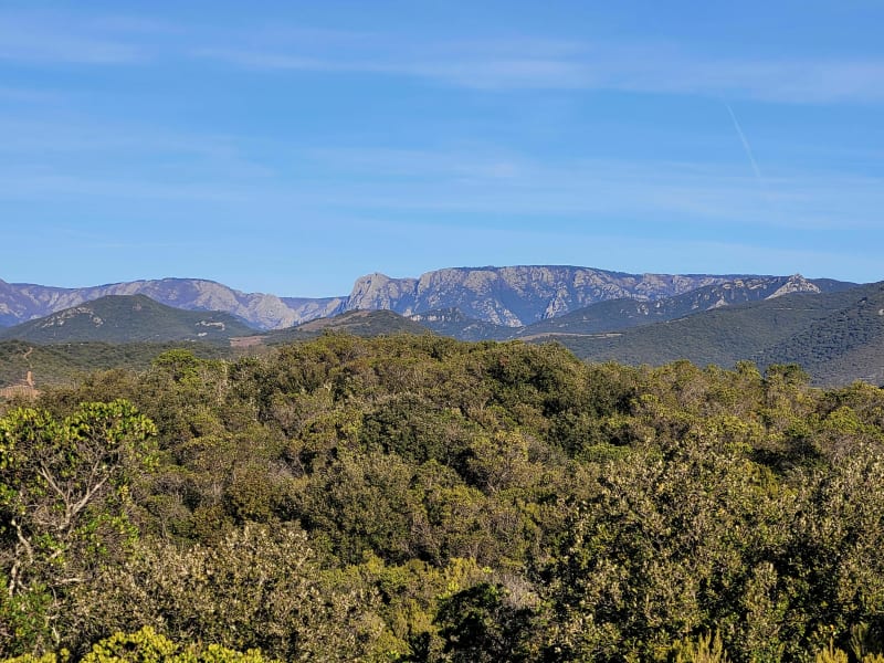 12 Bois de Cessenon - Cessenon-sur-Orb