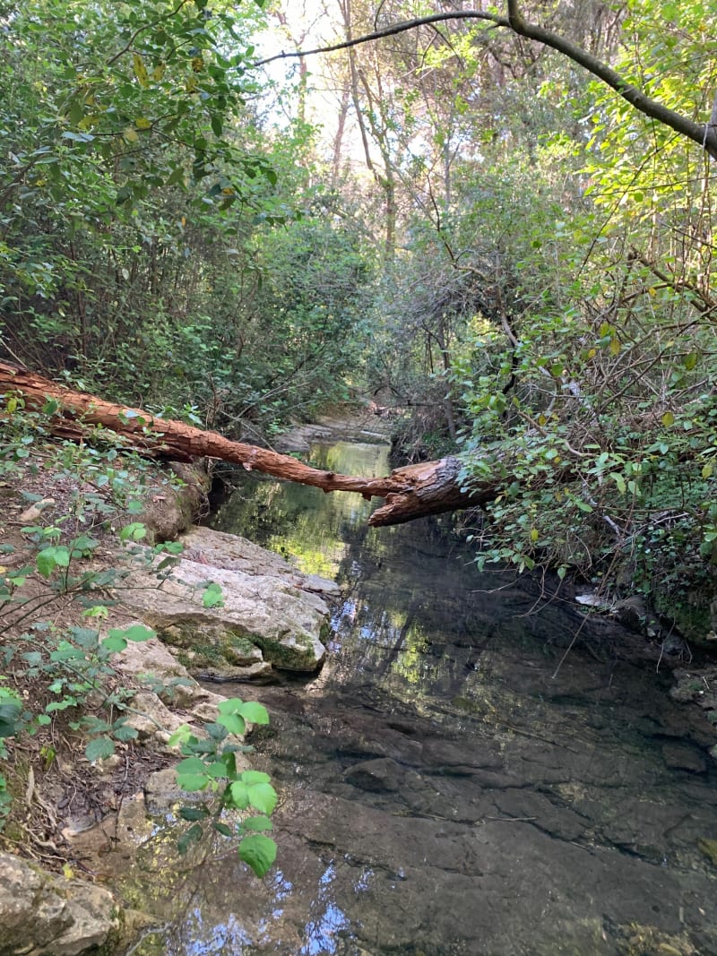 Colline de Sufferchoix et rivière de Lavaldenan - Lambesc