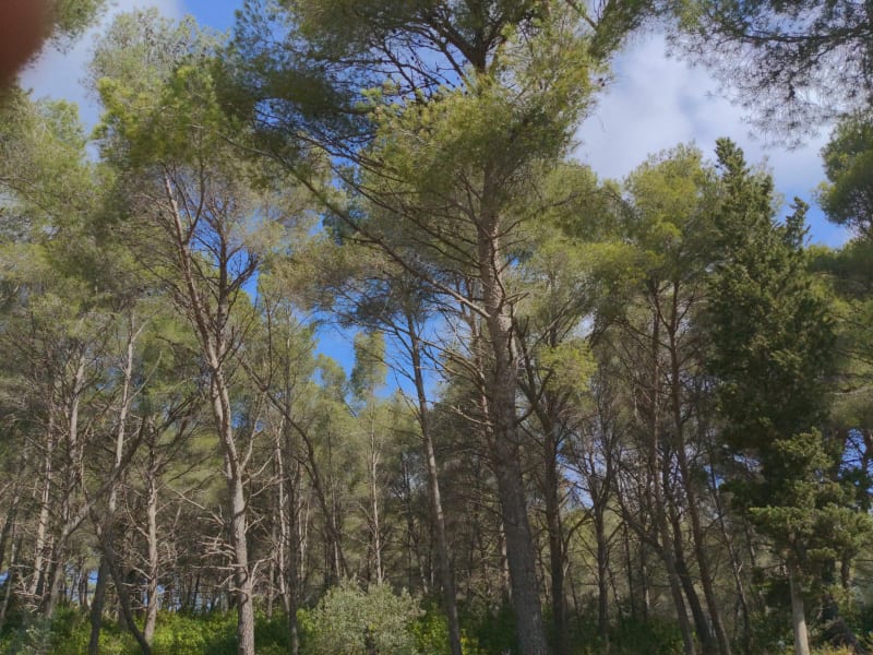 La Couronne Saint-Julien en VTT - Martigues