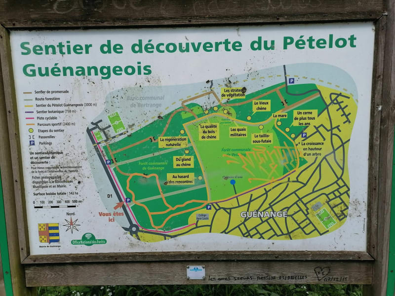Grande boucle du bois de Guénange - Guénange
