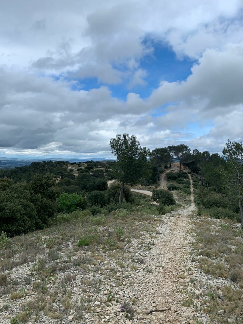 Crète de la Chaîne des Côtes - Lambesc