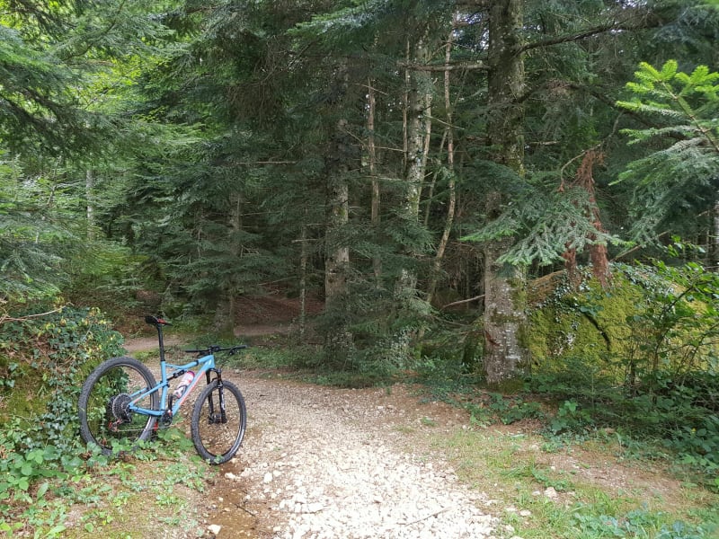 Les singles de Saint-Médard à VTT - Saint-Jean-d'Illac