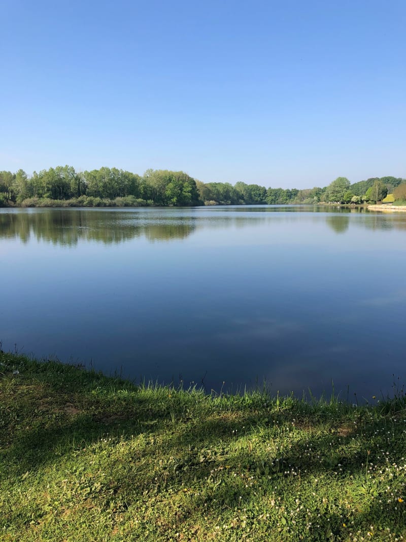 Balade à l’étang de Lamarche sur Saône - lamarche sur saône