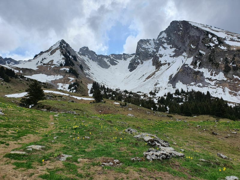Balade au territoire des marmottes près du mont Charvin - Le Bouchet-Mont-Charvin