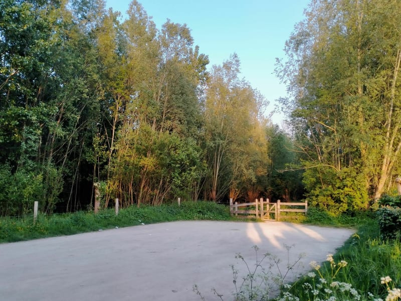 Beuvry belle balade au bord de l'eau et en sous bois - Beuvry