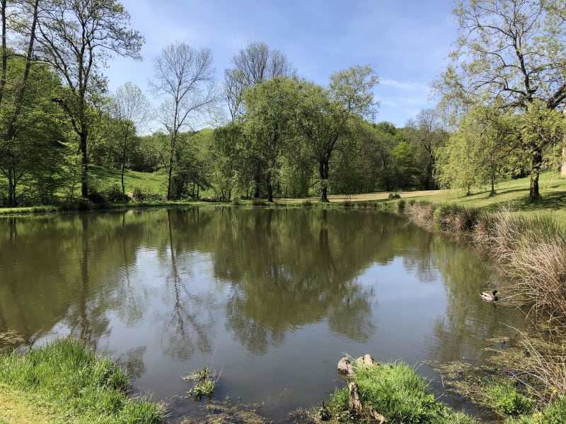Périple champêtre sur les hauteurs de la Dordogne - Beaulieu-sur-Dordogne