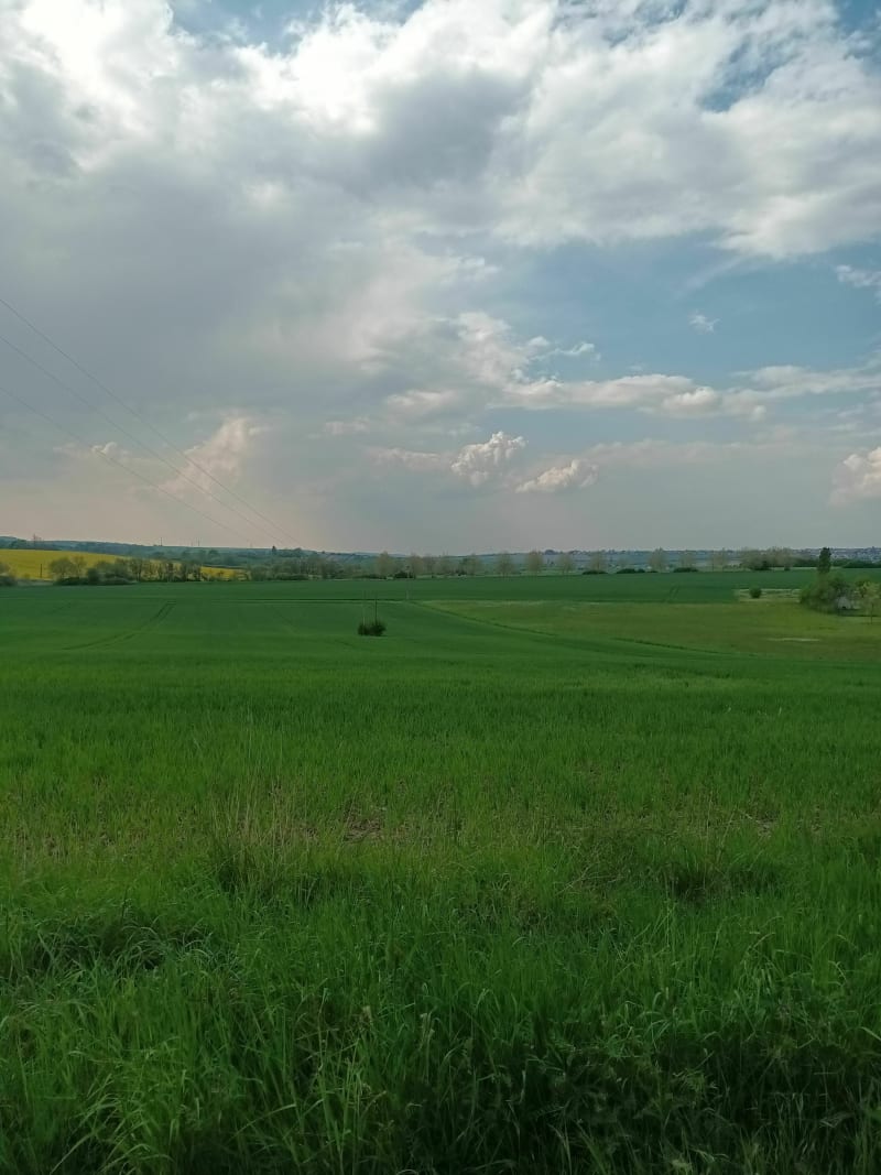 Marche populaire Lixing-lès-Saint-Avold - Lixing-lès-Saint-Avold