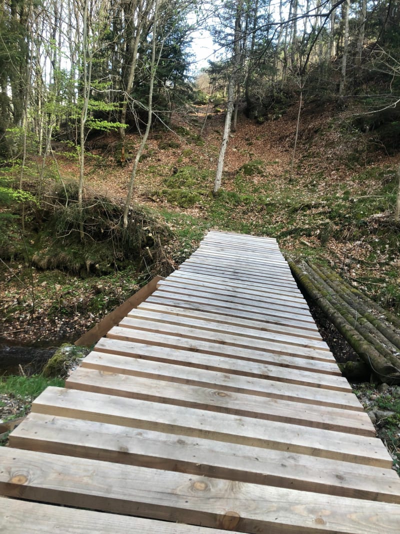 Paden tussen Ribalasse en Pradal - Saint-Martial