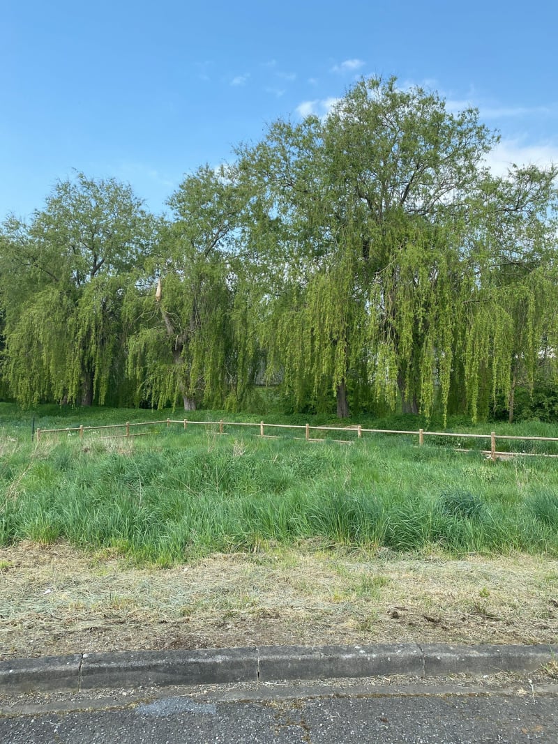 Escapade dans Longlaville - Longlaville