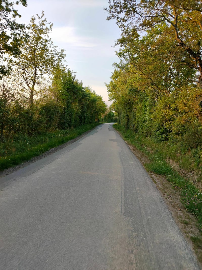 Entre la Roche et le Bocage, à Vélo - La Roche sur Yon