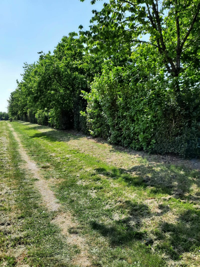 Balade en toute sécurité à Le Beignon Basset - Le Poiré-sur-Vie
