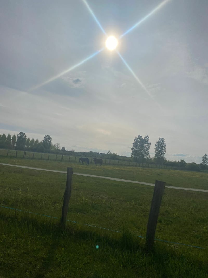 Belle balade à Perrigny - Perrigny-sur-l'Ognon