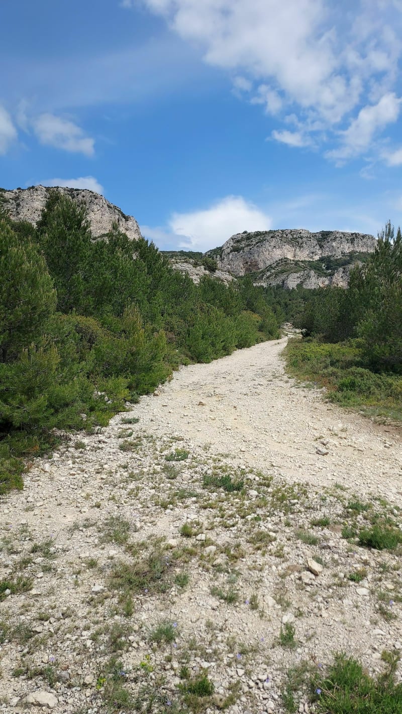 Wandeling naar Caume Saint Remy de Provence - Saint-Rémy-de-Provence