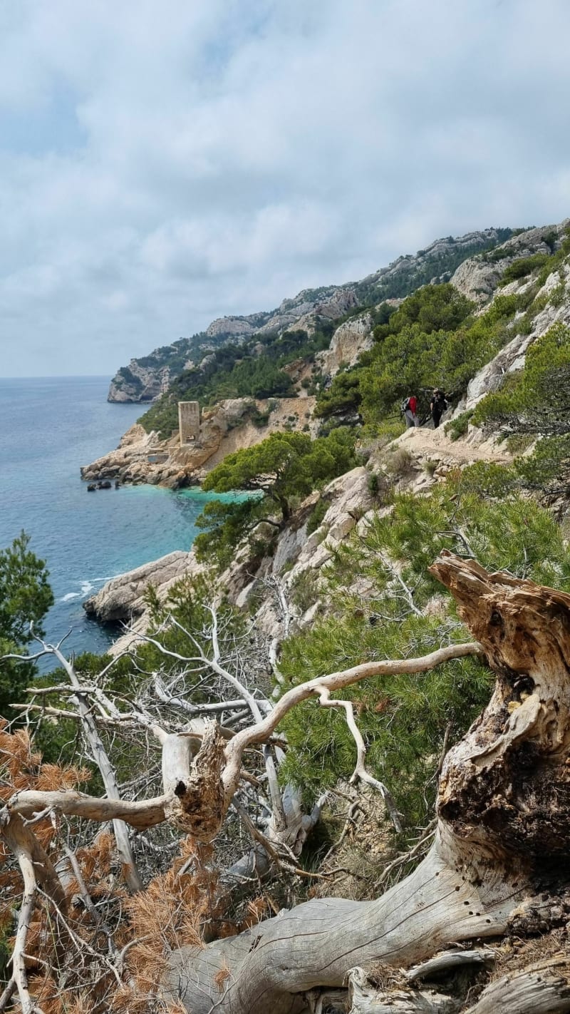 Calanque de l'Erevine et fort de Niolon - Niolon