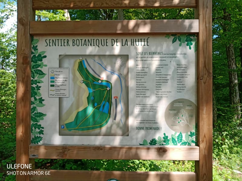 Chemin du Woess et sentier botanique - Fontoy