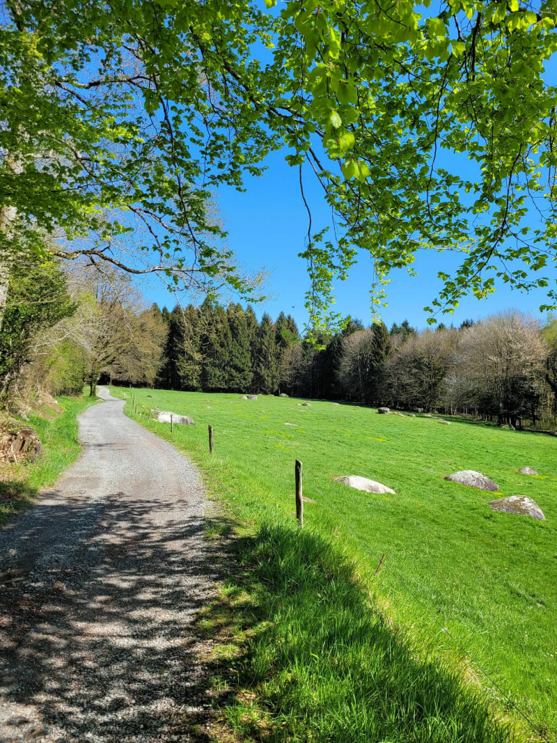 Lacrouzette, ronde des Ronchers à VTT - Lacrouzette