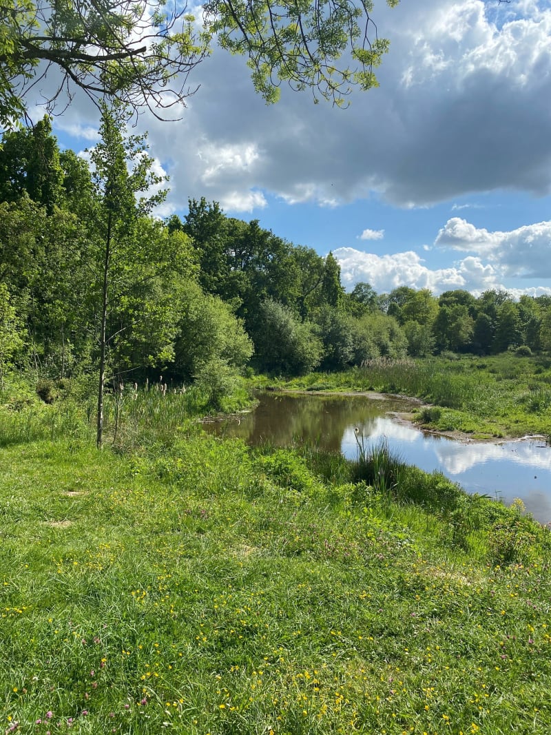 Jolie balade autour de l’étang d’Alluchon. - La Roche-sur-Yon