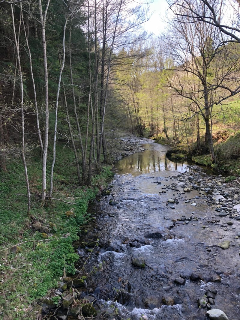 De Chamaury aux Quatre Routes en passant par Rouveyre - Saint-Martial