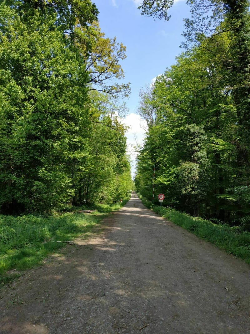 Bois de Briey - Val de Briey