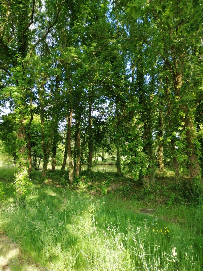Petite boucle dans La Mothe Achard - La Mothe Achard