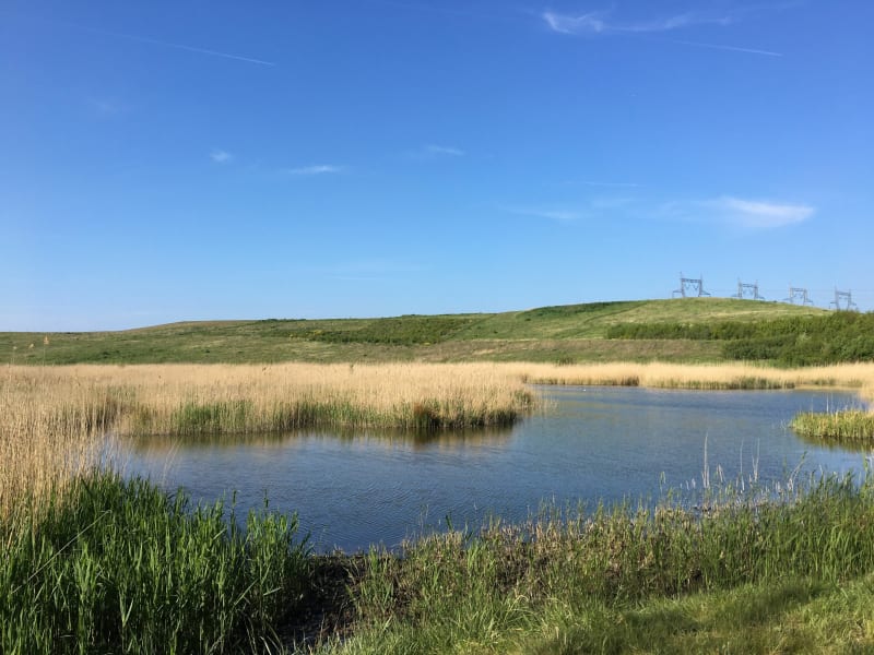 Balade en VTT en direction de la base d’Aviron de l’Aa - Dunkerque