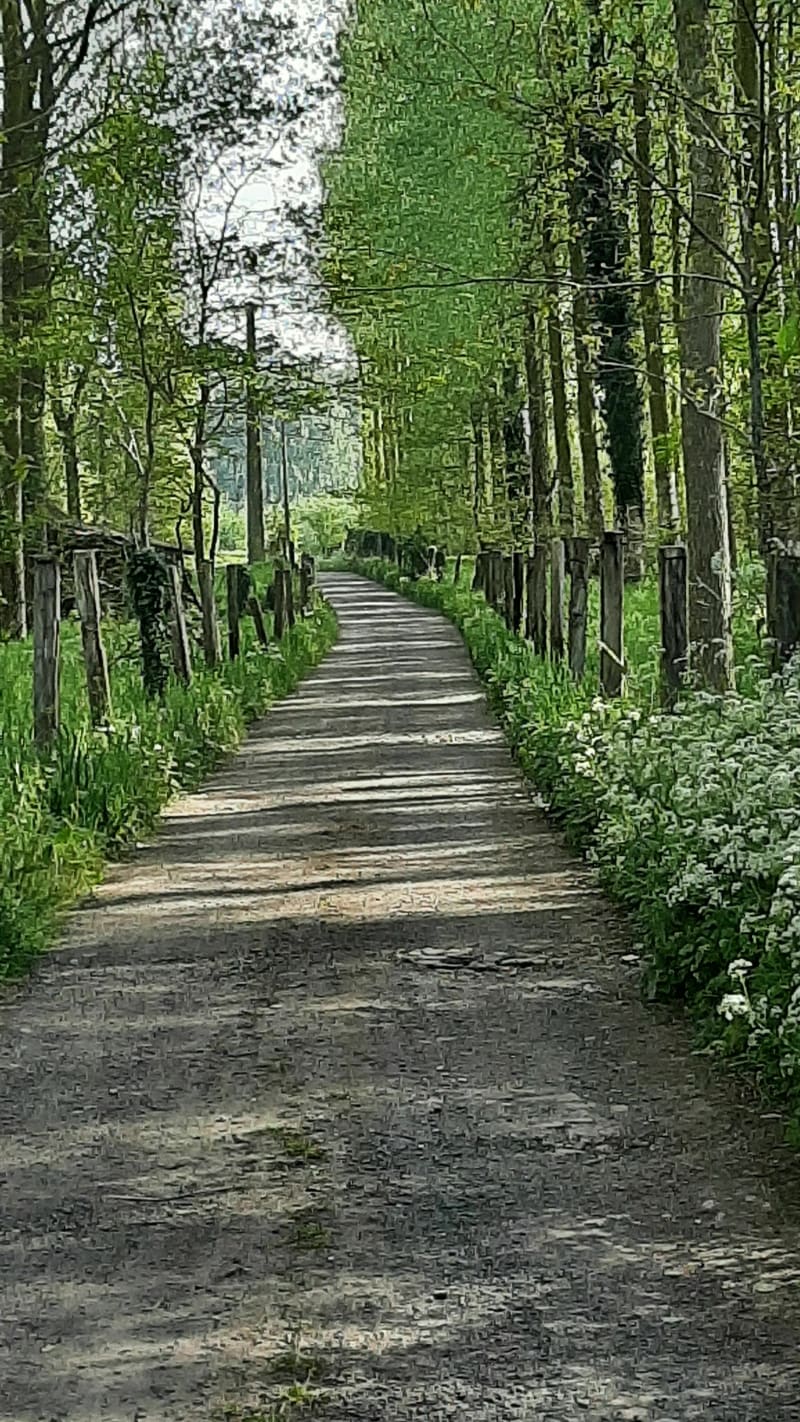 Balade à Hasnon - Hasnon