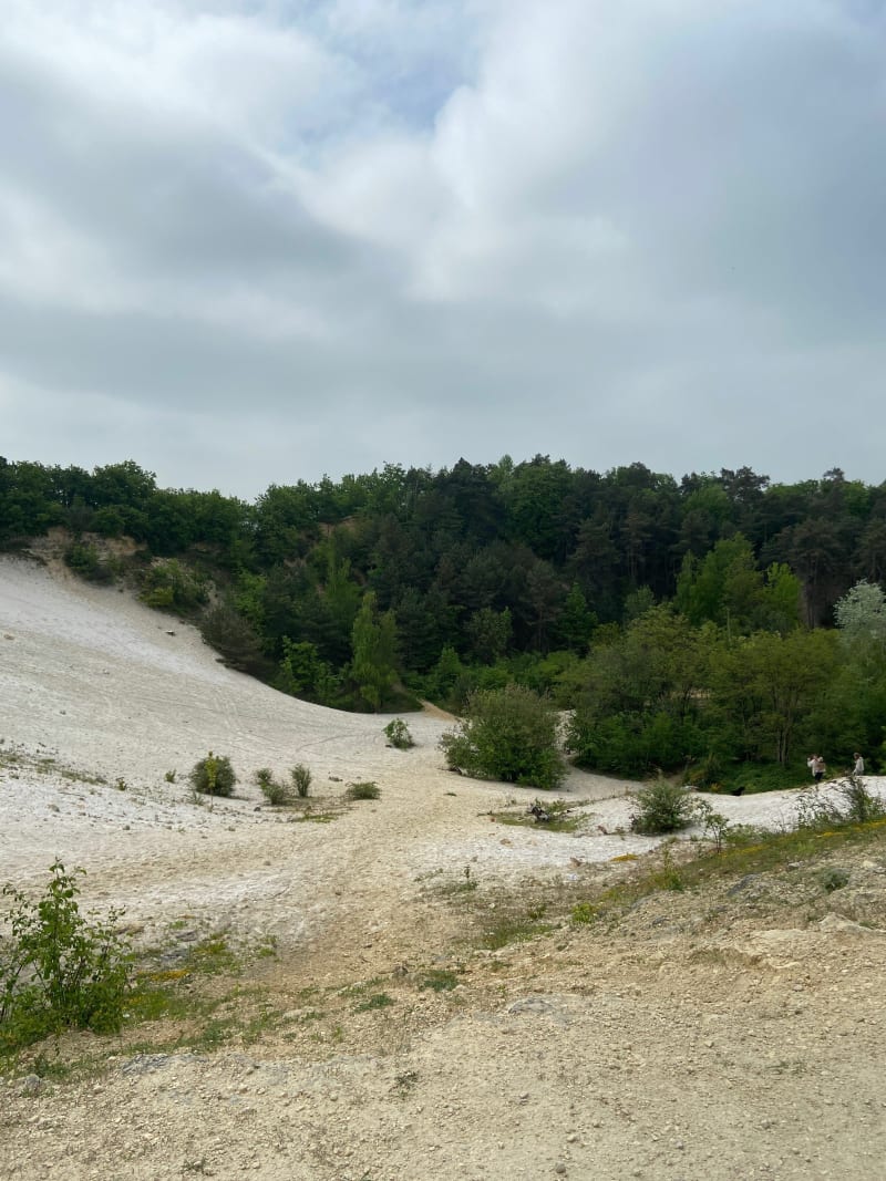 Balade en forêt de Cheptainville - Cheptainville