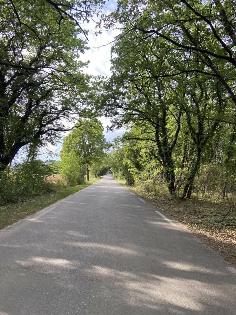 Sortie route dans la campagne de Puyricard - Aix-en-Provence