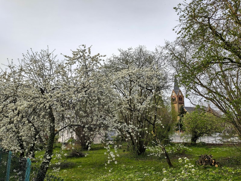 Sentier de Queuleu - Metz