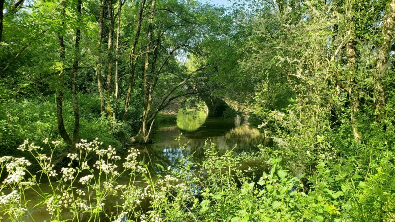 Entre vignes et cours d'eau à Mareuil-sur-Lay - Mareuil-sur-Lay-Dissais