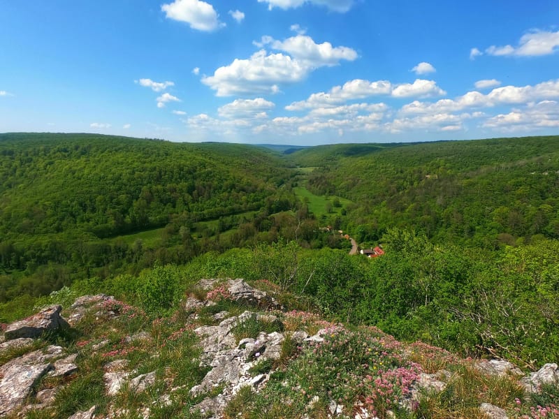 Boucle du lézard vert - Val-Suzon