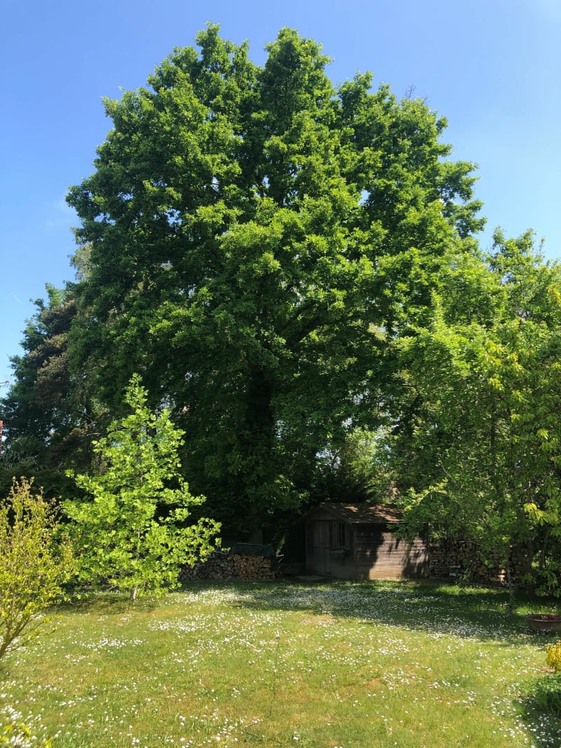 Balade en campagne vers Mennecy - Nainville-les-Roches