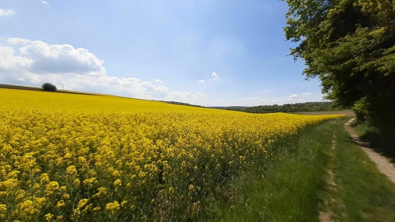 De Boillat à la Citadelle par les bornes - Montbéliard