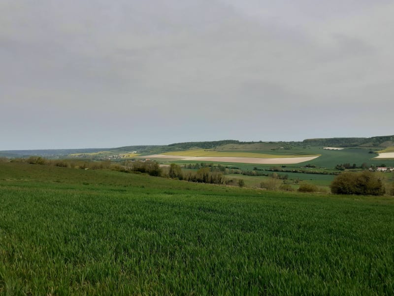 "Het Bos" van St-Vaast - Saint-Vaast-d'Équiqueville