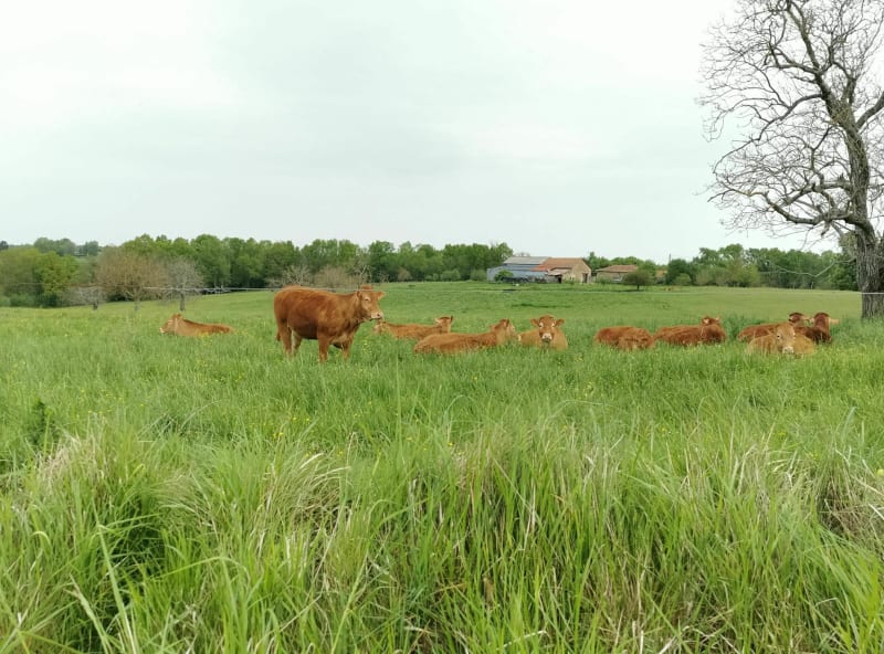Ballade près de Nontron - Nontron