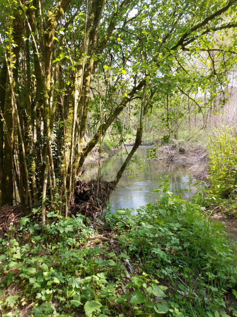 Promenade le long de la Chiers sur le sentier cyclo pédestre - Cons-la-Grandville
