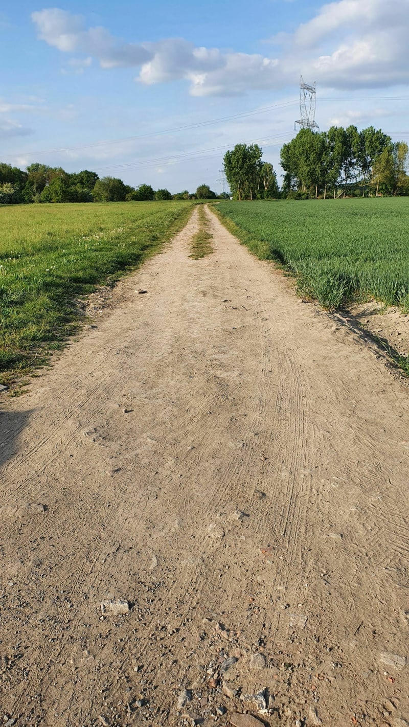 Coutiches - Parcours des oiseaux - Coutiches