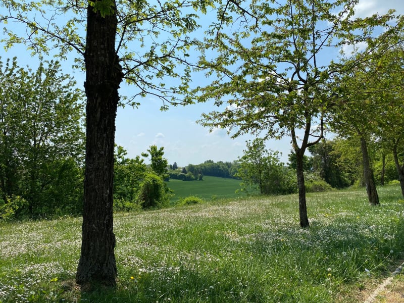 Marche à Tucquegnieux - Tucquegnieux