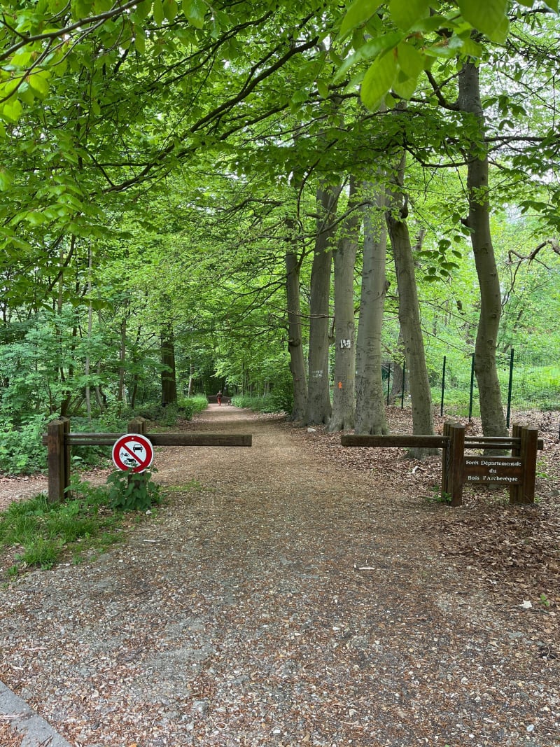 Forêt départementale du bois de l'Archevêque - Mont-Saint-Aignan