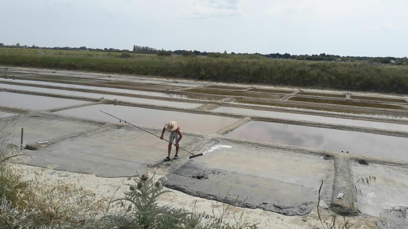Marais salants et plage en famille - Le Bois-Plage-en-Ré