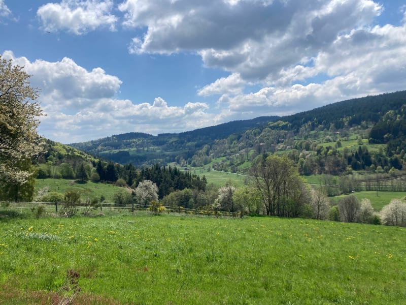 Boucle de Saint-Anthème - Saint-Anthème