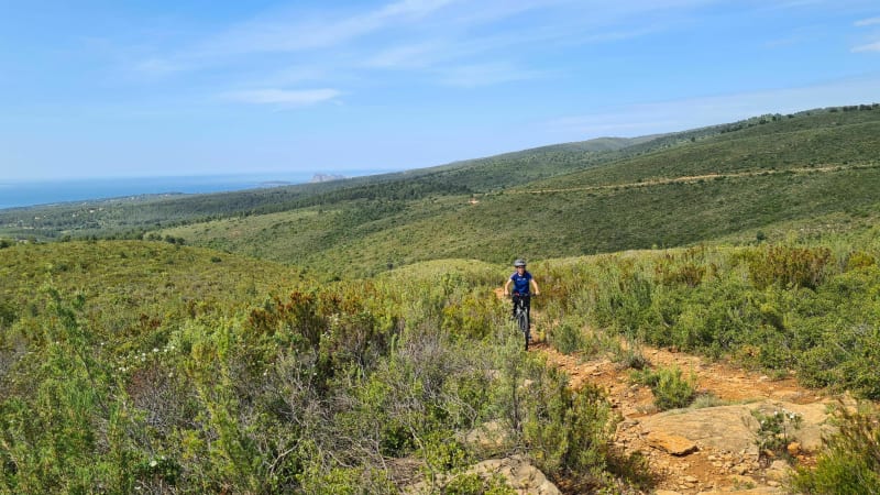 Sur les hauteurs de Saint-Cyr - Saint-Cyr-sur-Mer