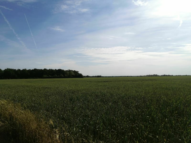 Tour à Néron et Vacheresse-les-Basses - Néron