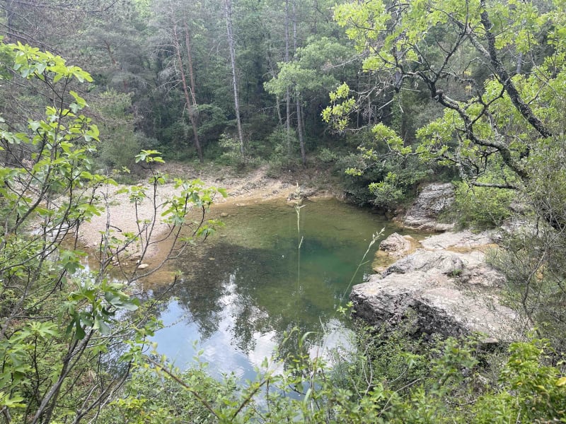 Excursion dans la forêt de Salavas - Salavas