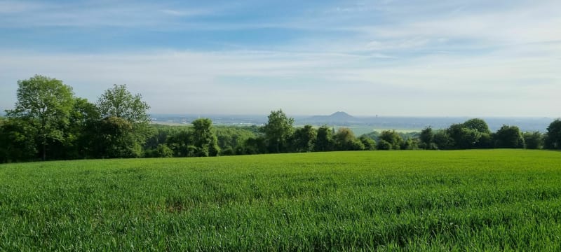 La route du Louvre - Ablain-Saint-Nazaire