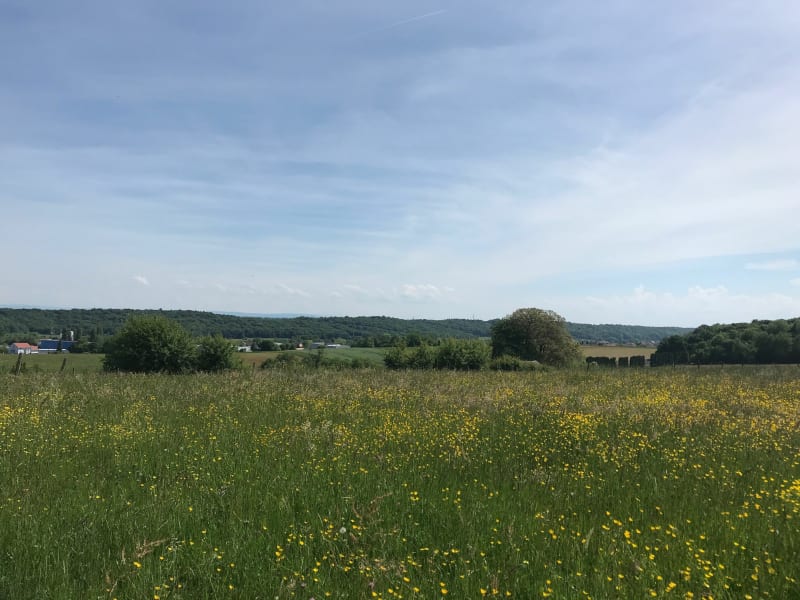 Belle balade à Bavilliers par l’église, et voie Romaine - Bavilliers