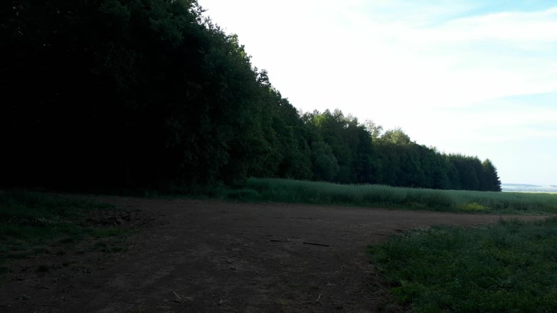Chemin des minières - Ville-Houdlémont