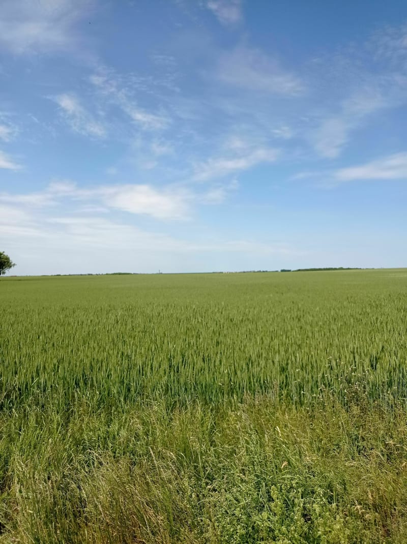 Vtt à Mazar'Yvette - La Ferté-Alais