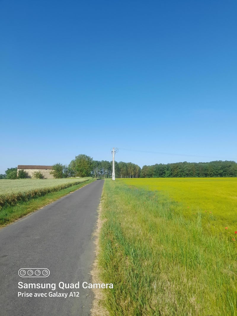 En VTC avec le beau temps ! - Cernay