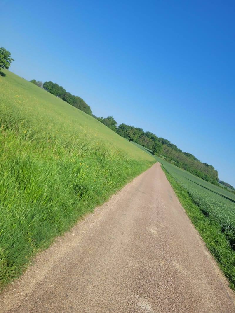 Footing du dimanche matin - Chambornay-lès-Pin